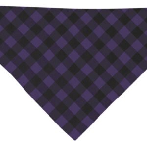 CACHIRULO