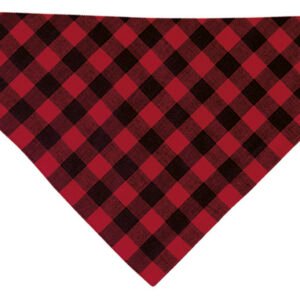 CACHIRULO
